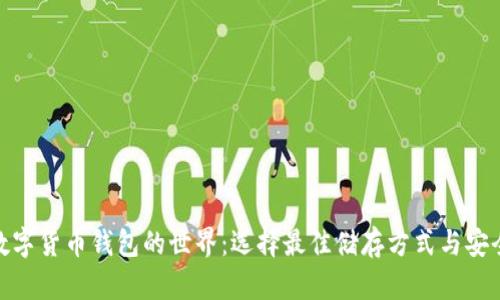 探索数字货币钱包的世界：选择最佳储存方式与安全策略