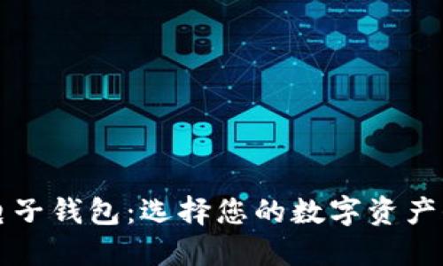 绝对安全的电子钱包：选择您的数字资产保护最佳方案