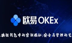 区块链钱包中的密钥揭秘