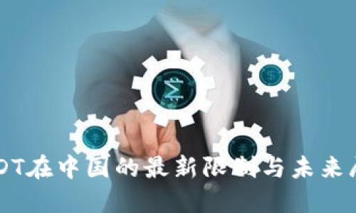 USDT在中国的最新限制与未来展望