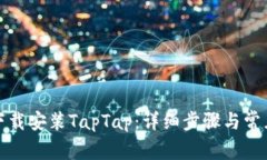 如何轻松下载安装TapTap：详细步骤与常见问题解