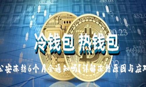 异地公安冻结6个月会通知吗？详解冻结原因与应对策略