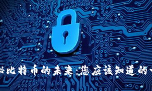 揭秘比特币的未来：您应该知道的一切