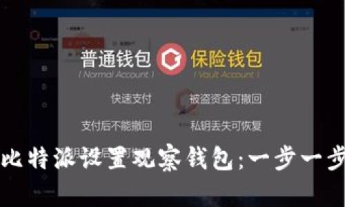 如何在比特派设置观察钱包：一步一步的指南