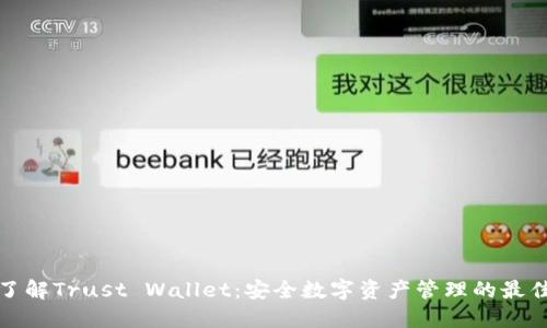 全面了解Trust Wallet：安全数字资产管理的最佳选择