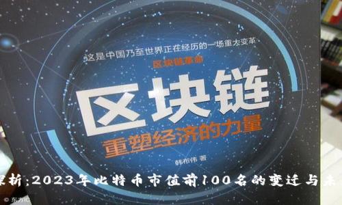 深入探析：2023年比特币市值前100名的变迁与未来趋势